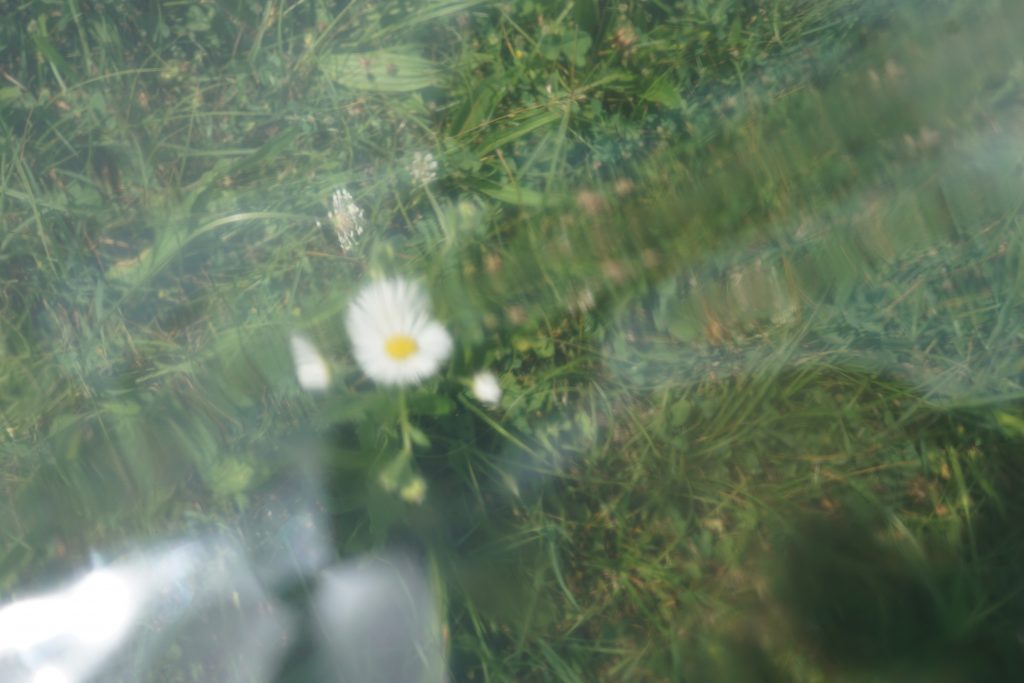 Boraso onoranze funebri montagnana margherita plastica
